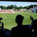 Saline baseball players clap from the dugout in the game against Bedford on Monday, June 3. Daniel Brenner I AnnArbor.com